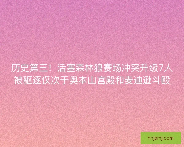 历史第三！活塞森林狼赛场冲突升级7人被驱逐仅次于奥本山宫殿和麦迪逊斗殴